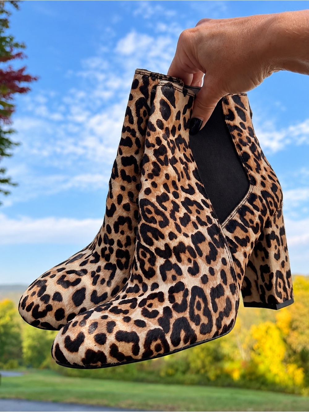 Sam Edelman Brahma Leopard Calf Hair Ankle Boots Booties Size 9